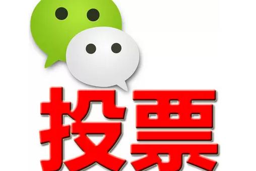 黄冈市微信投票功能开发 上传图片投票